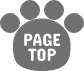 PAGETOP