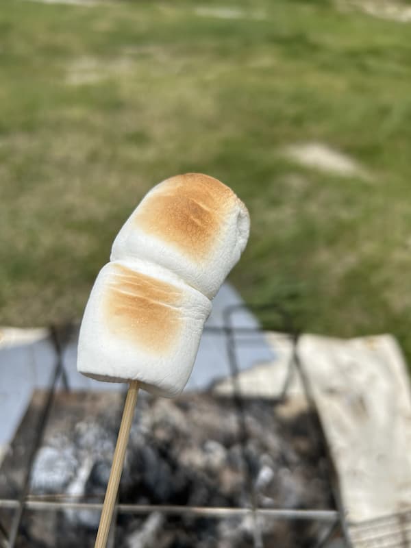 焼いたマシュマロ