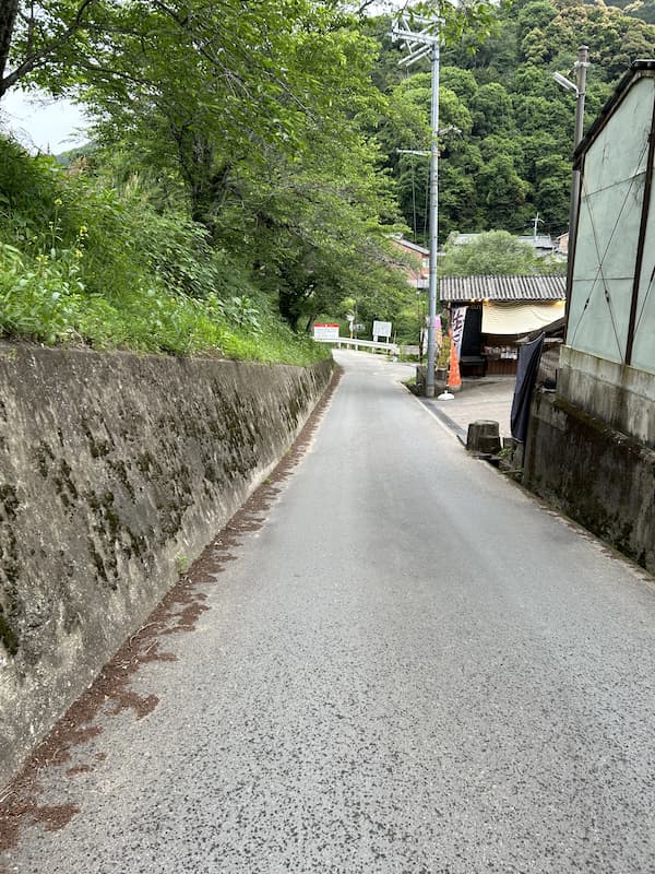 キャンプ場までの道幅